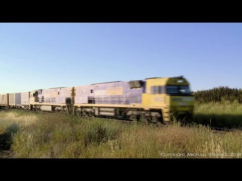 Pacific National PM6 - PoathTV Australian Trains & Railways