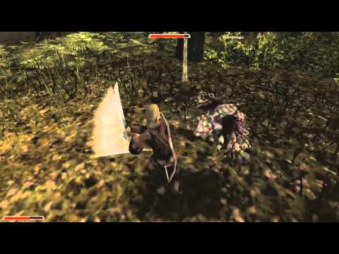 Lets Play Gothic 2 Classic Part 028 - Sagitta im Wald