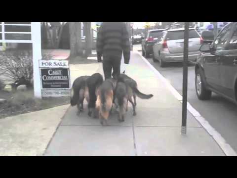 Problematic Jam - I Like to Do Nothing (Official Video)