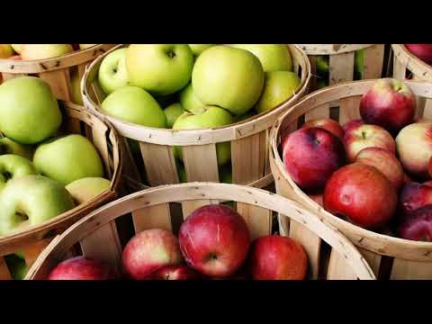 Može bolje ep.35 07.10.2017. -  Savremeni načini proizvodnje jabuke