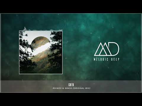 PREMIERE: GNTN - Rhinos & Brass (Original Mix) [Perspectives]