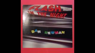 DAN NEWMAN - FLASH IN THE NIGHT (RADIO EDIT)
