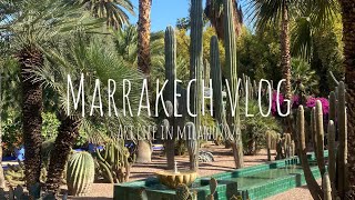 【Marrakech vlog】マラケシュ🇲🇦| マジョレル庭園🪴| 念願のアザーン📢