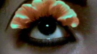 My sun flower EYE!