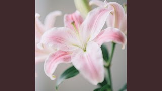 Download lagu Tanpa Ada Janji mp3