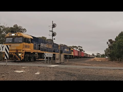 3PM7 PN up "Linfox Express #3" (NR101, NR9), Perth to Melbourne, 1937, 20/3/25, Kiata West VIC