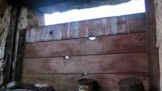 Iodine- Leonard Cohen