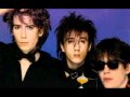 psychedelic furs -  she is in mine