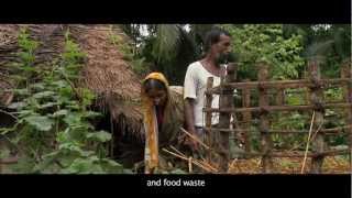 preview picture of video 'Greendots-Tdh-Keyhole garden project Bangladesh 2012.mp4'