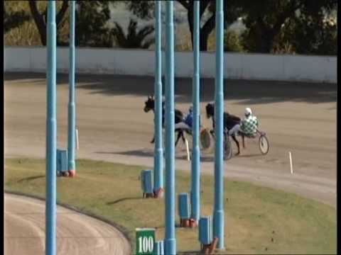 Taranto - Prova di qualifica riservata ai 3 anni del 6 aprile 2017