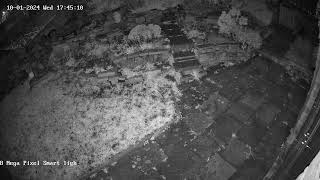 Preview of 8 Mega pixel smart light.