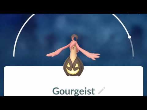 Pokemon GO Gourgeist Pokedex 360 Degree View