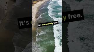 Surf Smarter with Swell Checker