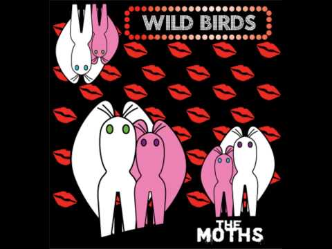 The (Dead) Moths - Wild Birds (Lyrics in description)