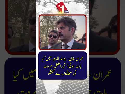 عمران خان کے ساتھ ملاقات میں کیا بات چیت ہوئی؟ شیر افضل مروت