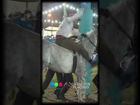 Jineteada en el Festval de #cruzalta 🇦🇷  #CaballosyPlaceres