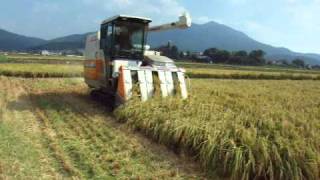 preview picture of video 'Rice harvesting in japan.mov'