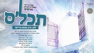 האח של 'הנני בידך' • האחים ברייער מגישים: תכל'ס | Ahrele & Pinches Brayer - Tachlis