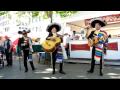Guantanamera - Mariachi Acapulco