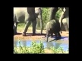 Teletubbies Latest Episodes 2013 English HD