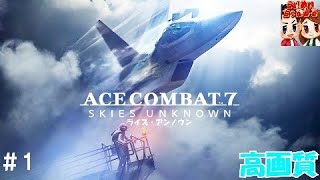 #1【フライト】映像ヤバっ！そして爽快！らいずの「エースコンバット7スカイズ・アンノウン」【ＨＡＲＤ】The images were beautiful ACE COMBAT7 【らいめいちゃんねる】