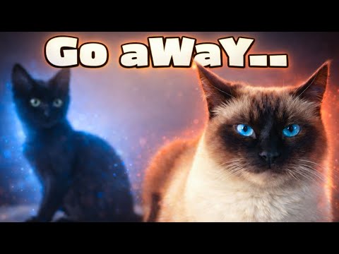 This New Kitten Was a Real Mistake (According to Merv)