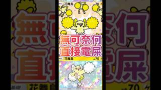 Pokemon tcg pocket花舞鳥牌組一路電屎對手! #tyc館長 #pokemon #ptcg #寶可夢 #pokemoncards #寶可夢卡牌