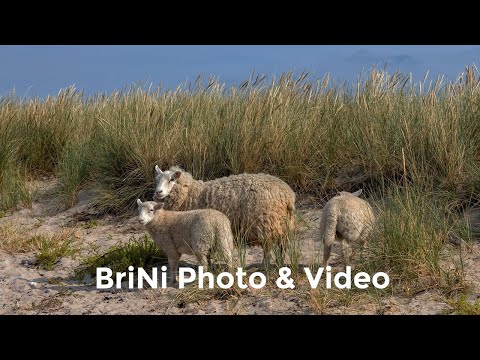 2021 Denmark - Lolland Island: Maribo, Dodekalitten & Coastal Charms Await!