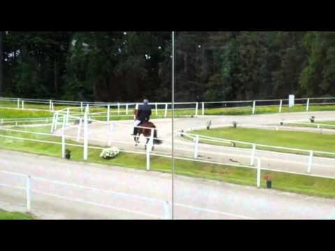 WM-Sichtung ÖIV - Piet Hoyos & Heimir T1 - isibless