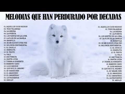 BELLISIMAS MELODIAS INMORTALES A GRAN ORQUESTA - 3 HORAS de la Mejor Música Clásica