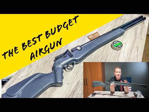 The BEST Budget Airgun | Umarex Origin .25 Caliber