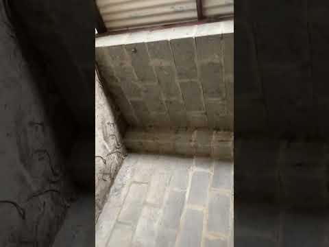 Shed for Rent - Image 2