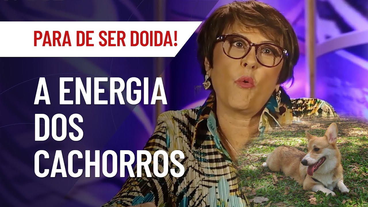 A ENERGIA DOS CACHORROS: UM AMOR INCONDICIONAL | MÁRCIA FERNANDES | PARA DE SER DOIDA!