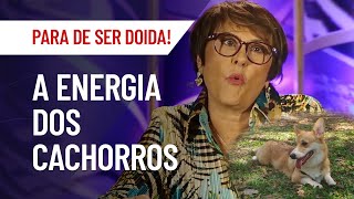 A ENERGIA DOS CACHORROS: UM AMOR INCONDICIONAL | MÁRCIA FERNANDES | PARA DE SER DOIDA!