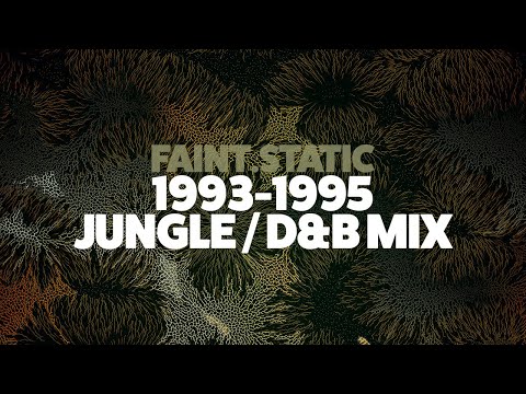 1993 - 1994 - 1995 Jungle / Drum & Bass Mix