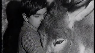 Never Take No For An Answer     1951