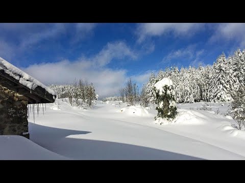 Le Carré gourmand, Le Chambon-sur-Lignon, France