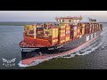 BIGGEST CONTAINERSHIP IN THE WORLD - MSC LORETO - 24.346 TEU - Maiden voyage to the Port of Antwerp