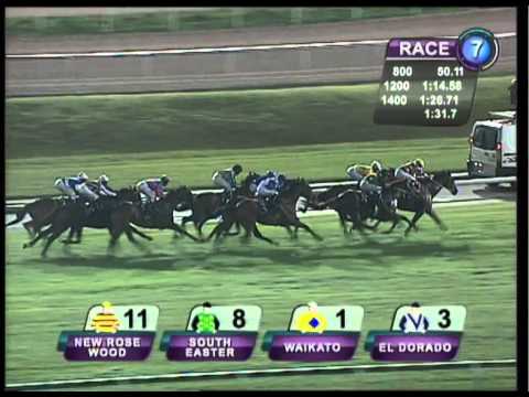 Queen Elizabeth ll Cup 2011 (Fatkid)
