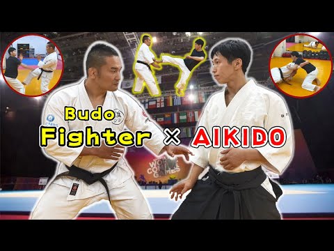 Former UFC Fighter experience the Aikido Master techniques. The last is sparring training!!