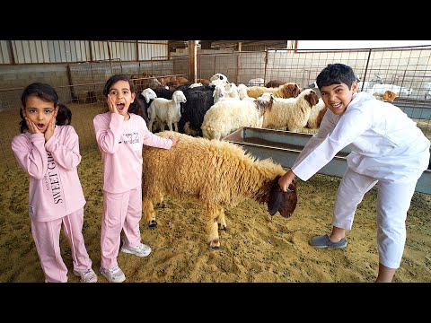 شفا و ميمي هربوا من الخاروف وشوفوا مين ساعدهم