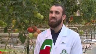 В 2018 году безработица в Чечне снизилась до 8,3%