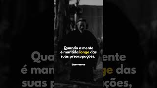 Alan Watts - Fique Quieto #shorts