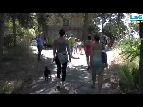 ONDA TG 21.04.2015 - PASSEGGIATA A SEI ZAMPE PRESENTAZIONE