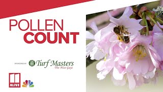 Wednesday, March 27 north Georgia pollen forecast