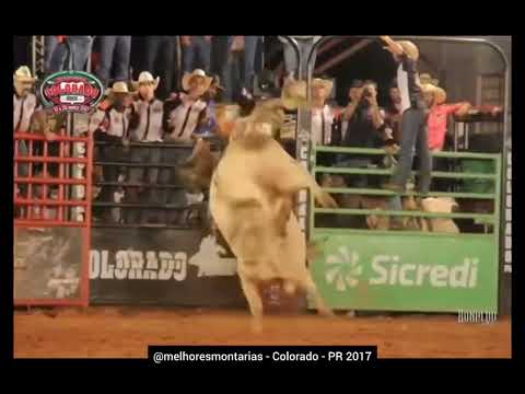 🇧🇷 Lucas Divino x Impressionante - Rodeio de Colorado 2017 #rodeio #rodeo