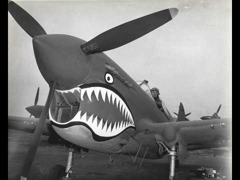 The Legendary P-40 Warhawk: Hero of WWII Skies