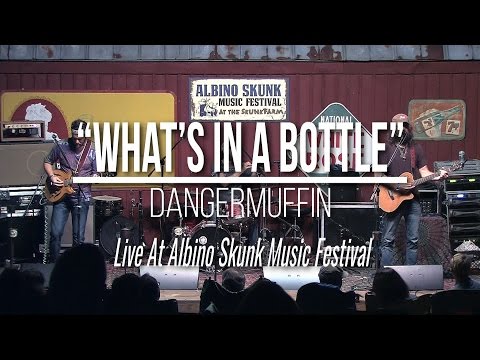 Dangermuffin - What's In A Bottle