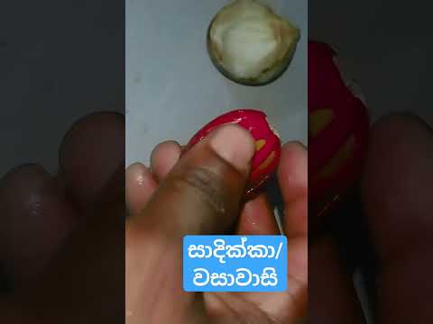 සාදික්කා/ nutmeg##
