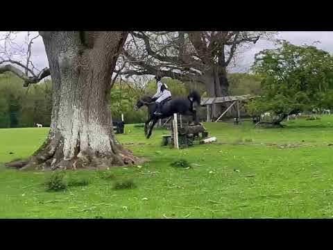 All Rounder - Image 2